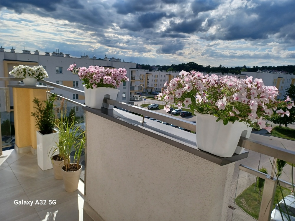 DUŻY APARTAMENT Z MOŻLIWOŚCIĄ ROZDZIELENIA+HALA GARAŻOWA 30m2 + 2 TARASY - 12