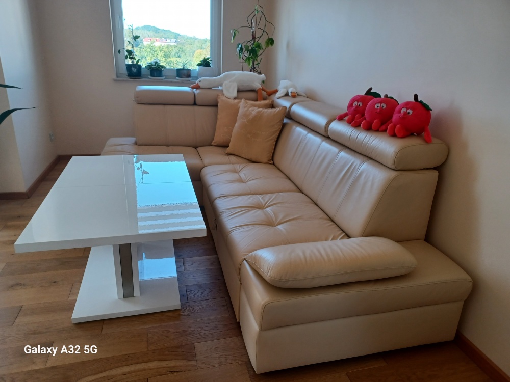 DUŻY APARTAMENT Z MOŻLIWOŚCIĄ ROZDZIELENIA+HALA GARAŻOWA 30m2 + 2 TARASY - 14