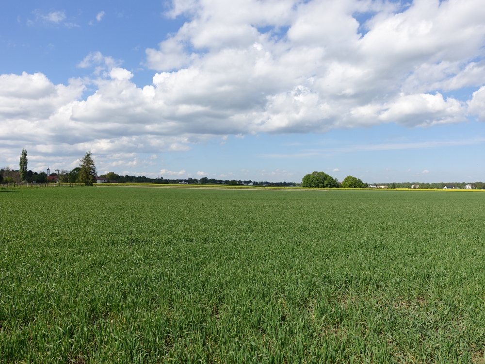Skoczów Pruchna 1,15ha w samym centrum z prawem zabudowy  - 0