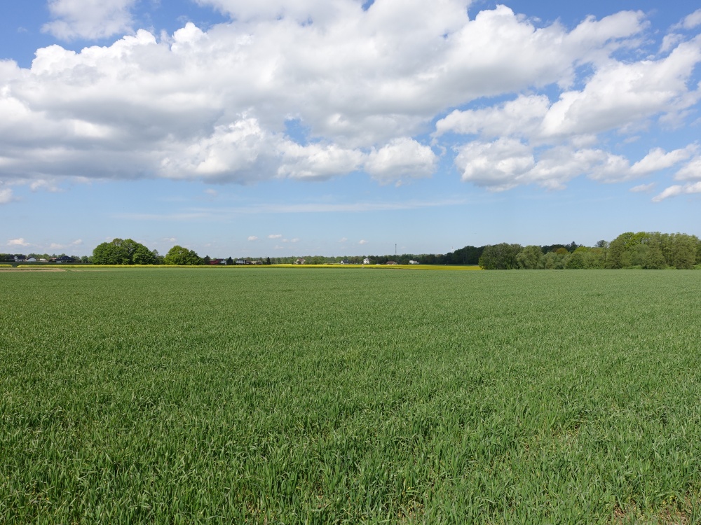 Skoczów Pruchna 1,15ha w samym centrum z prawem zabudowy  - 3