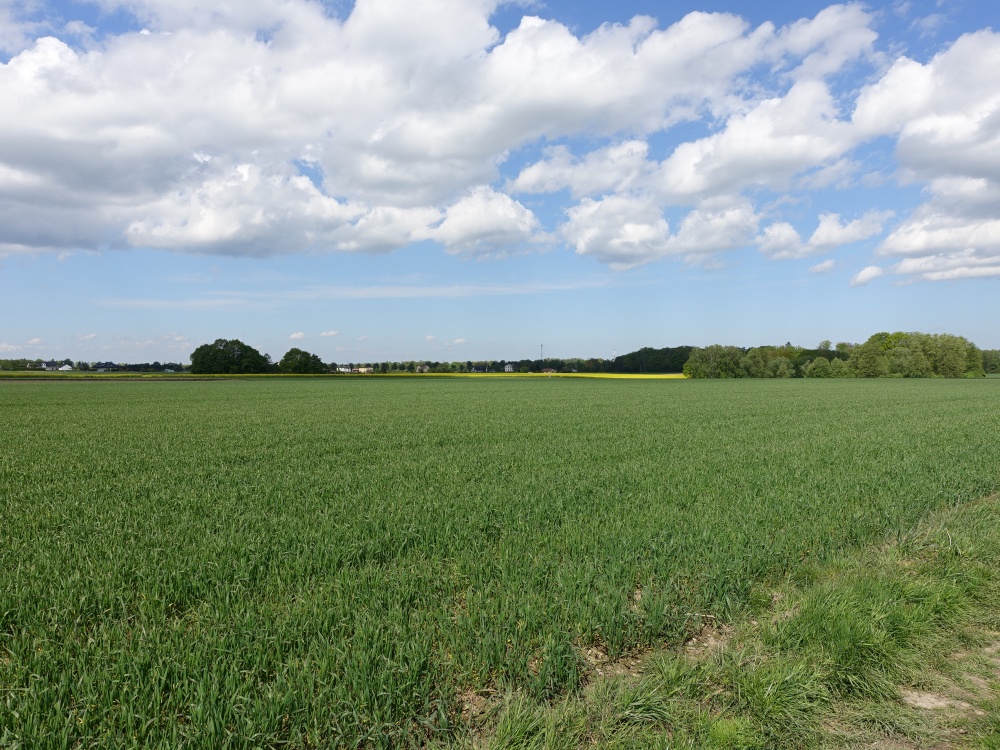 Skoczów Pruchna 1,15ha w samym centrum z prawem zabudowy  - 6