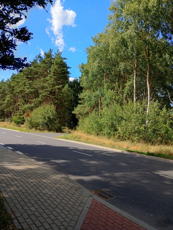 Atrakcyjny dom mieszkalny i wypoczynkowy - 1 km od Zalewu Szczecinskiego przy puszczy Wkrzanskiej  - 15