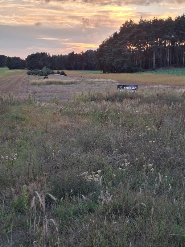 DZIAŁKA INWESTYCYJNA 2,22 HA KĘPINA  - 2