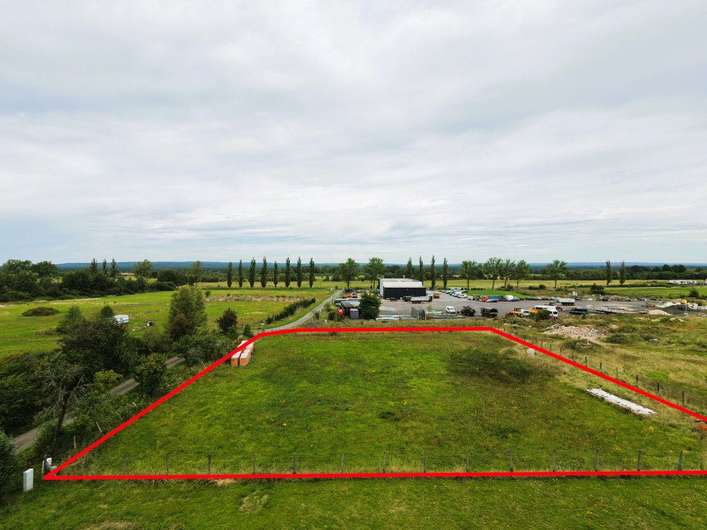 DZIAŁKA 3000 m² NA SPRZEDAŻ – SPOKOJNA OKOLICA, MEDIA, MOŻLIWOŚĆ PODZIAŁU - 4