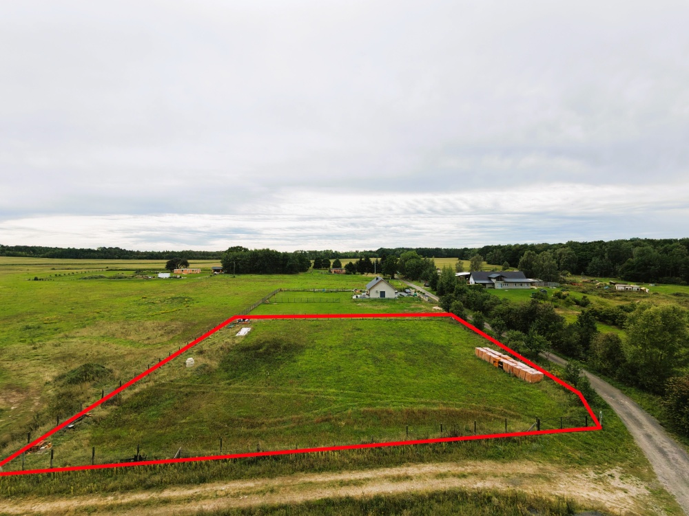 DZIAŁKA 3000 m² NA SPRZEDAŻ – SPOKOJNA OKOLICA, MEDIA, MOŻLIWOŚĆ PODZIAŁU - 5