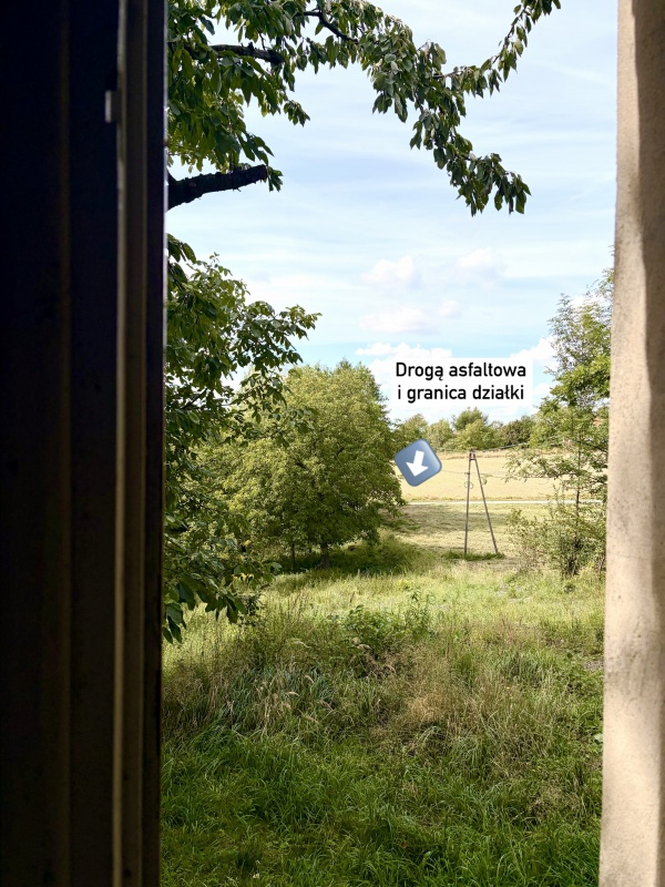 Dom murowany z działką 48 ar. Wszystkie media podpięte i droga asfaltowa  - 8