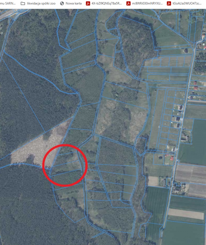 1,2 ha 50tys Nowogard, Osina, nad rzeką bezpośrednio - 1