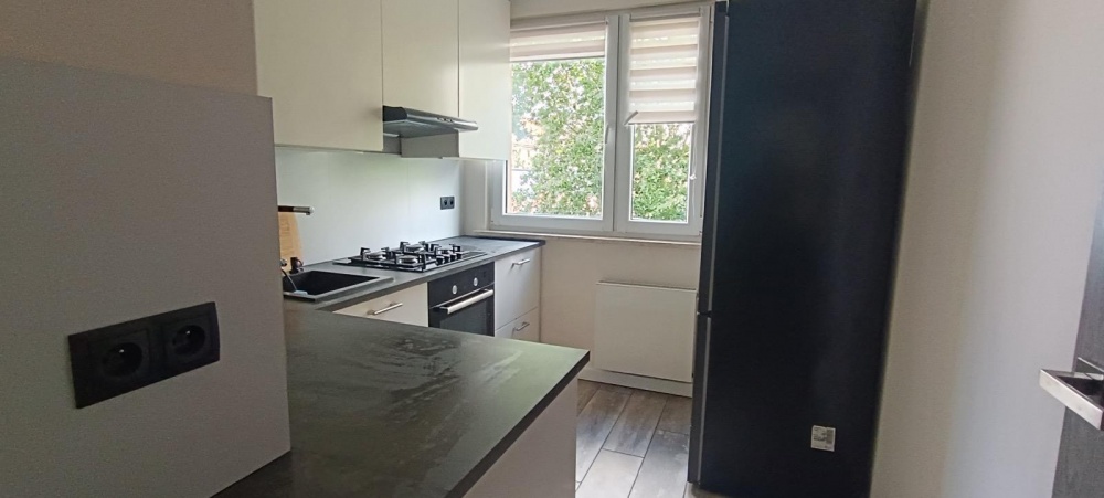Mieszkanie 3 pokoje, loggia+ balkon, klimatyzacja, pierwszy najem - 10