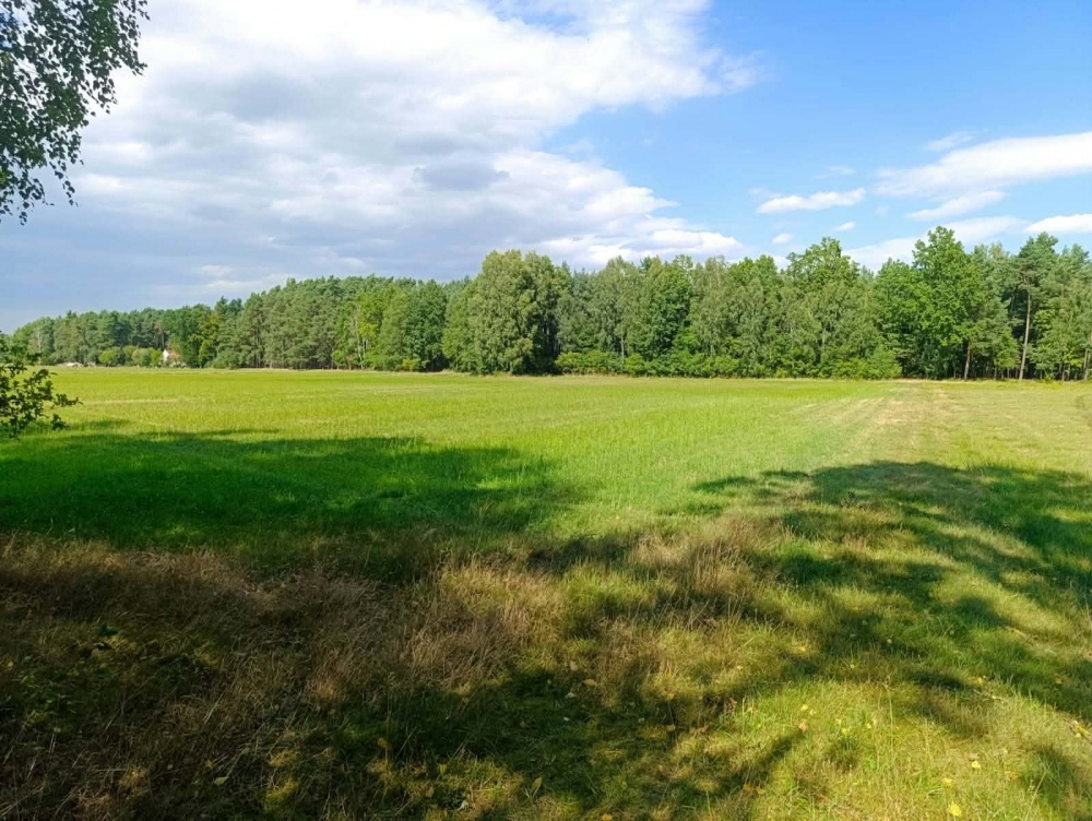 Siedlisko 3,57 ha z zabudowaniami i własnym lasem – Siedlików k. Ostrzeszowa - 1