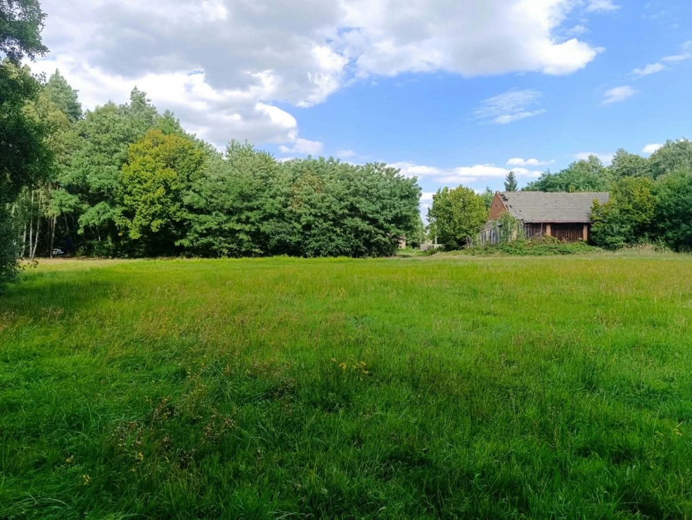 Siedlisko 3,57 ha z zabudowaniami i własnym lasem – Siedlików k. Ostrzeszowa - 2