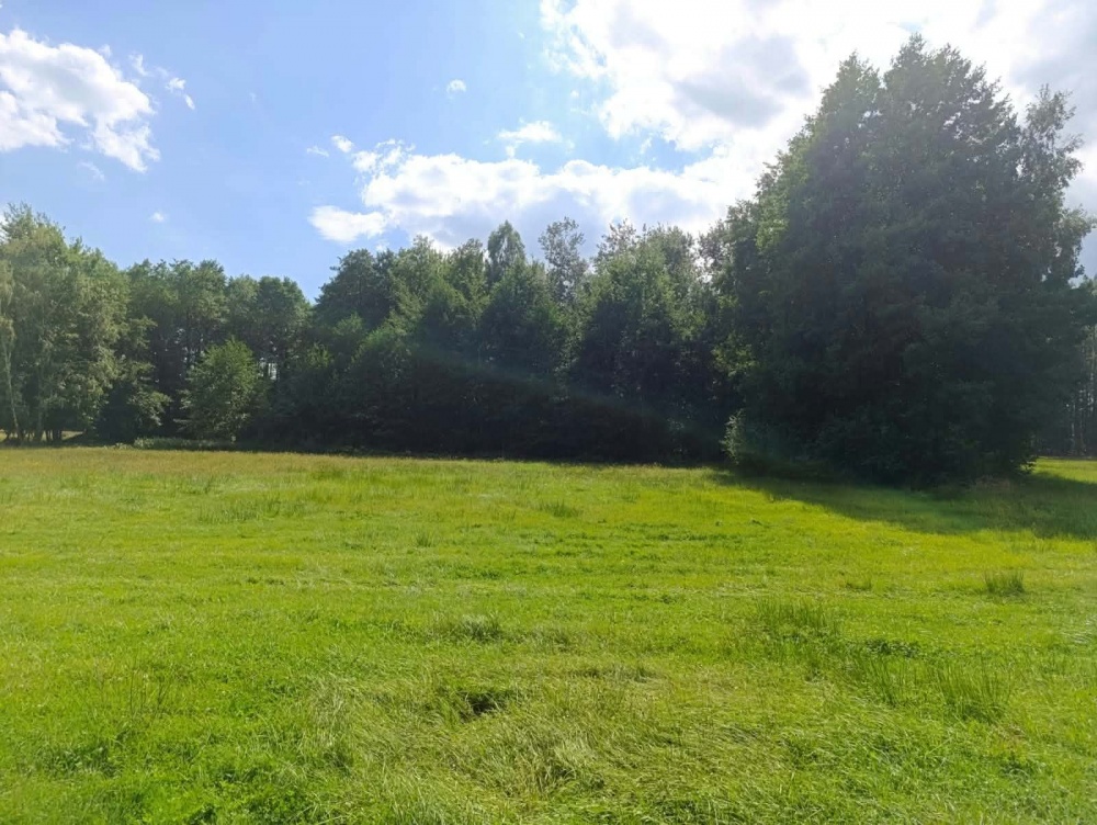 Siedlisko 3,57 ha z zabudowaniami i własnym lasem – Siedlików k. Ostrzeszowa - 4