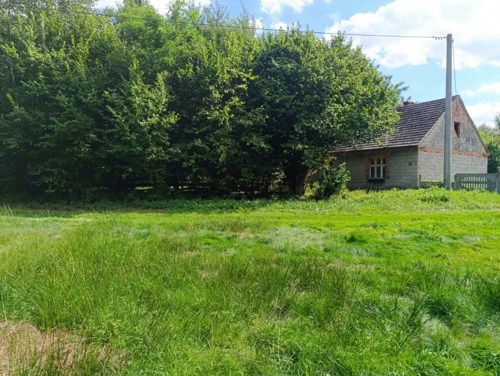 Siedlisko 3,57 ha z zabudowaniami i własnym lasem – Siedlików k. Ostrzeszowa - 5