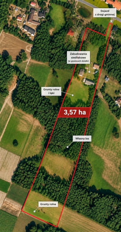 Siedlisko 3,57 ha z zabudowaniami i własnym lasem – Siedlików k. Ostrzeszowa - 0