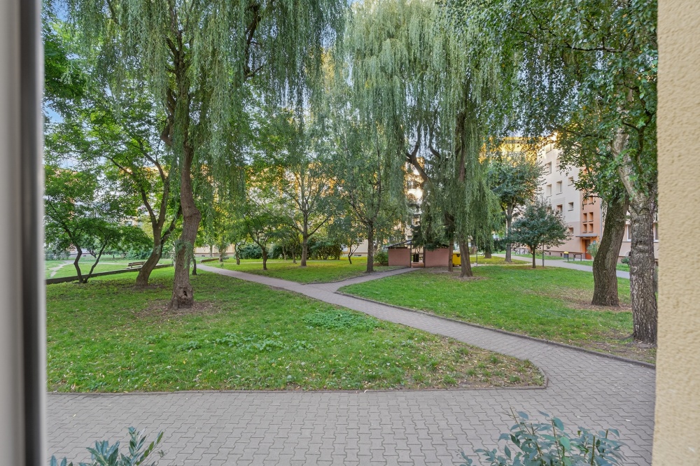 2 pokoje + sypialnia w centrum Dąbia  - 7