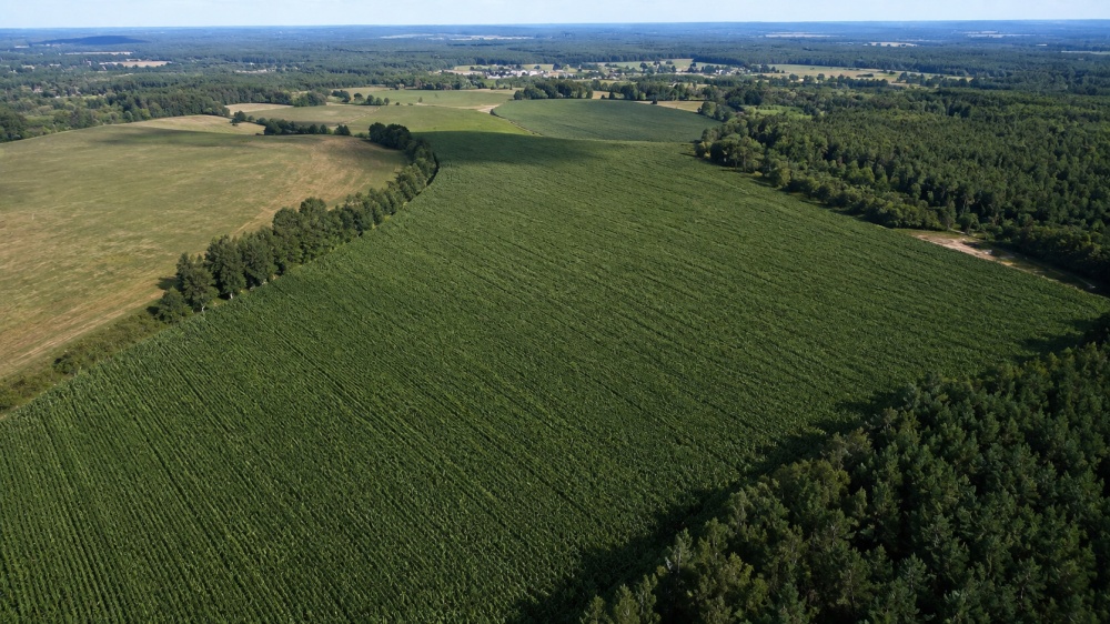 Na sprzedaż kompleks gruntów rolnych - 0