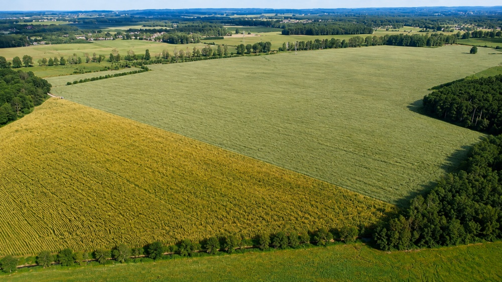 Na sprzedaż kompleks gruntów rolnych - 4
