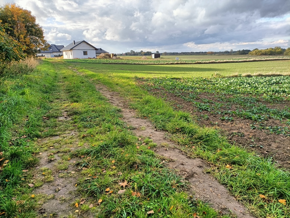 Działka rolna, budowlana Cenazł/60m2 Ludwin MPZP - 2