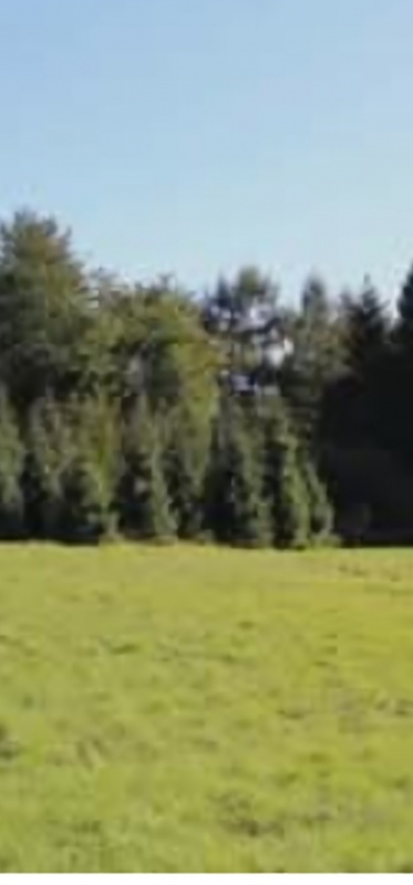 Działka budowlana Jerzmanowice ul Centralna 63 ary piękna - 1