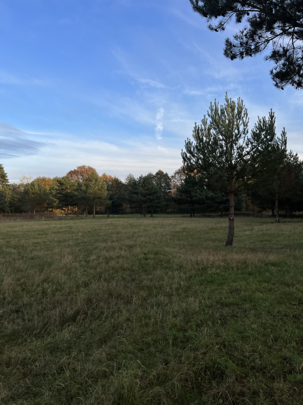 Zielona enklawa pod Wrocławiem | 1000 m² | Prąd | MPZP - 4