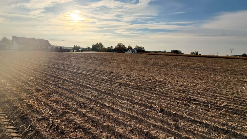 DZIAŁKI BUDOWLANE NA SPRZEDAŻ – KOKCZYN I - 7