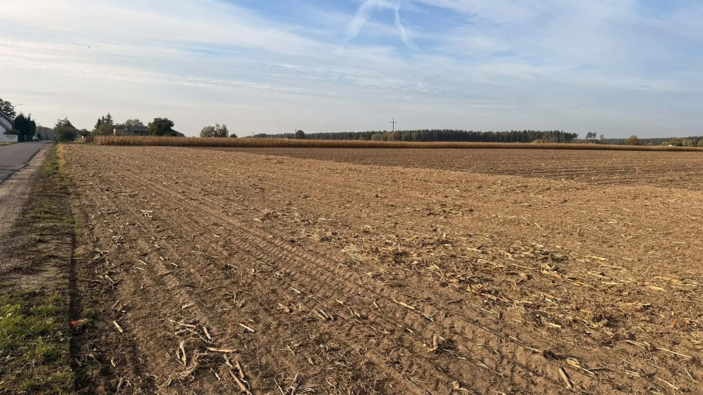 DZIAŁKI BUDOWLANE NA SPRZEDAŻ – KOKCZYN I - 9