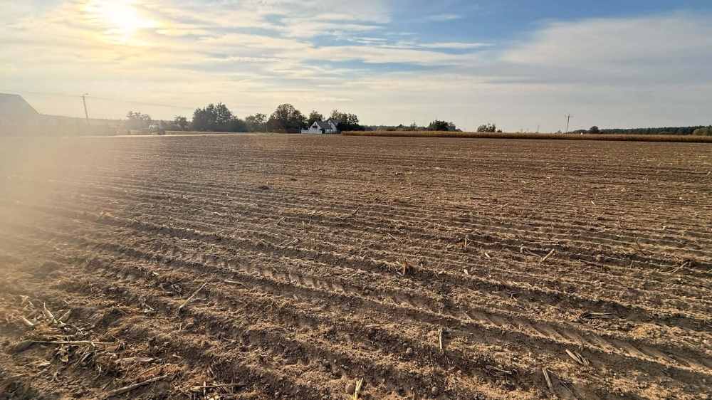 DZIAŁKI BUDOWLANE NA SPRZEDAŻ – KOKCZYN I - 13